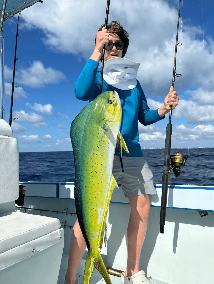 Bright mahi-mahi boatside next to a spread of trolling lures off Miami