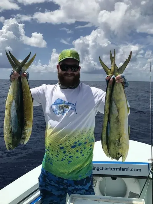 Mahi Mahi (Dolphin) - Miami fishing charter photo 2 aboard the Nomad