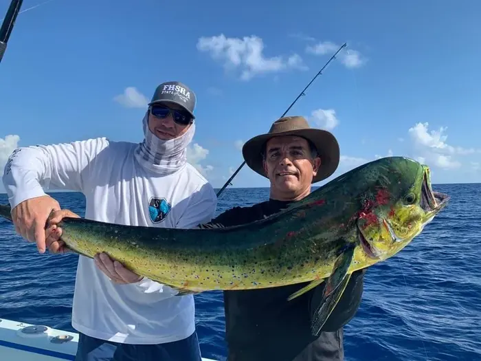 Mahi Mahi (Dolphin) - Miami fishing charter photo 16 aboard the Nomad
