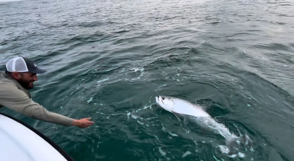 Tarpon Fishing