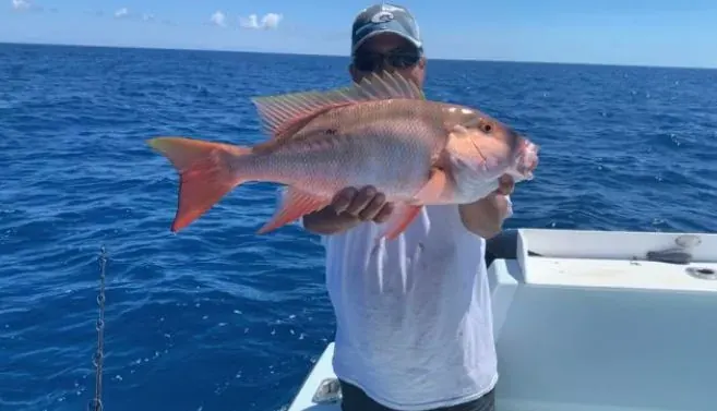 Main Album - Miami fishing charter photo 44 aboard the Nomad