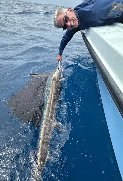 Sailfishing - Miami fishing charter photos aboard the Nomad