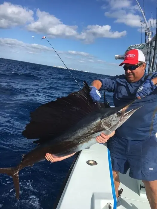 Sailfishing - Miami fishing charter photo 4 aboard the Nomad