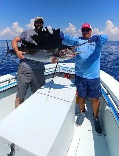 Sailfishing - Miami fishing charter photo 5 aboard the Nomad