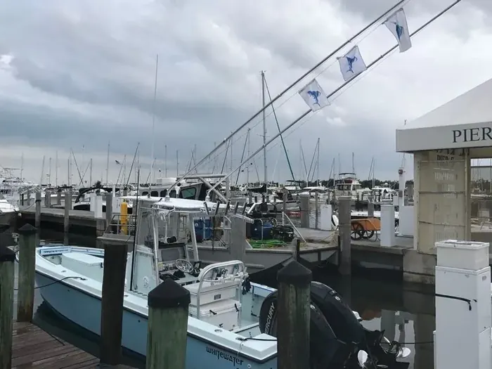 Sailfishing - Miami fishing charter photo 9 aboard the Nomad