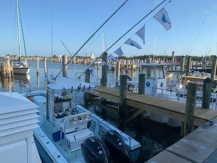 Sailfishing - Miami fishing charter photo 13 aboard the Nomad