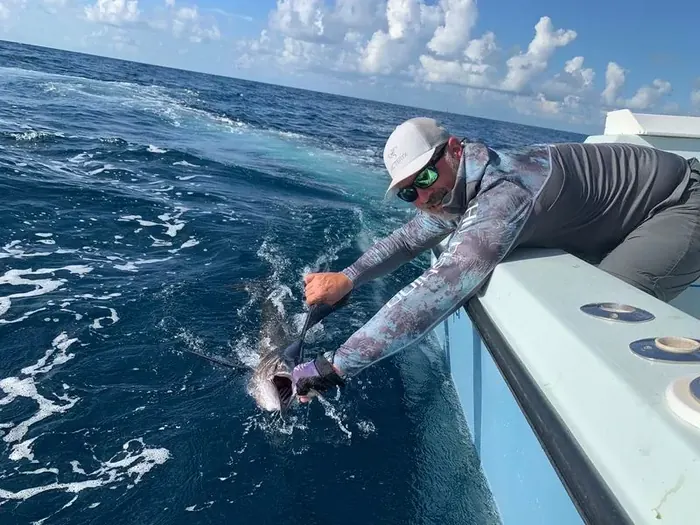 Sailfishing - Miami fishing charter photo 14 aboard the Nomad