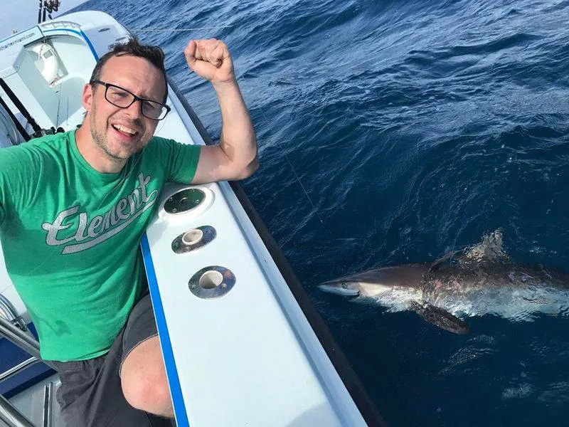 Why Miami's Warm Waters Draw Big Sharks