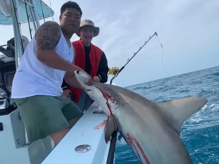 Shark Fishing - Miami fishing charter photo 17 aboard the Nomad
