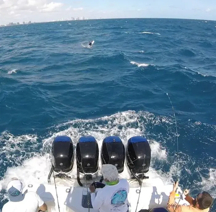 Tournament Fishing - Miami fishing charter photo 2 aboard the Nomad