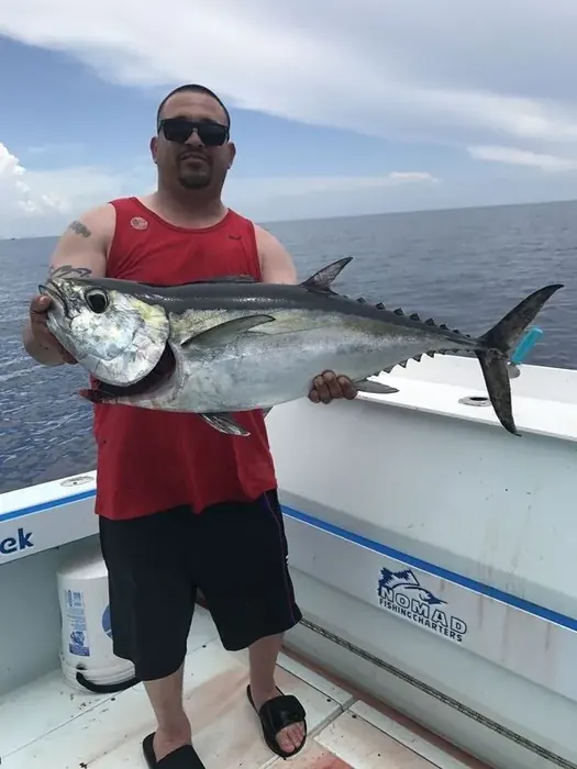 Tuna - Miami fishing charter photo 8 aboard the Nomad
