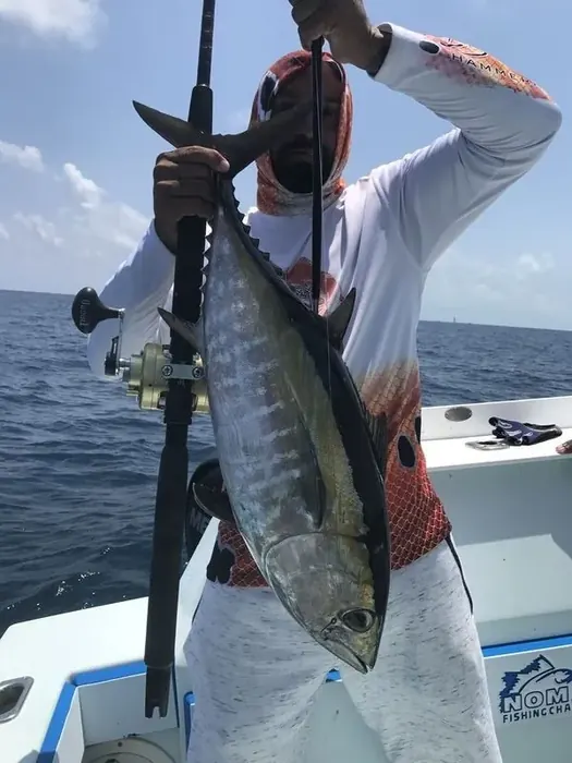 Tuna - Miami fishing charter photo 10 aboard the Nomad