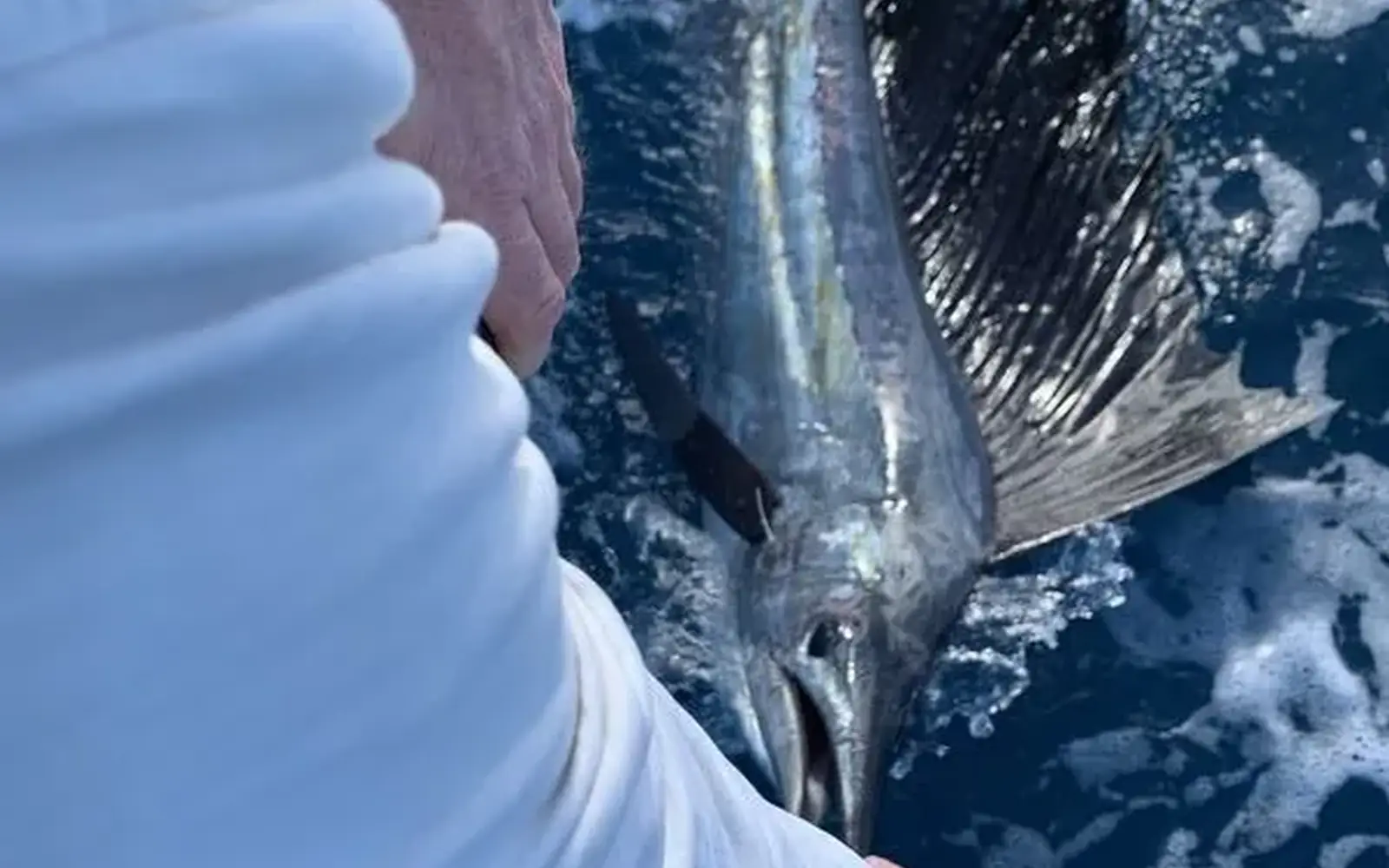 Boca Raton fishing charters