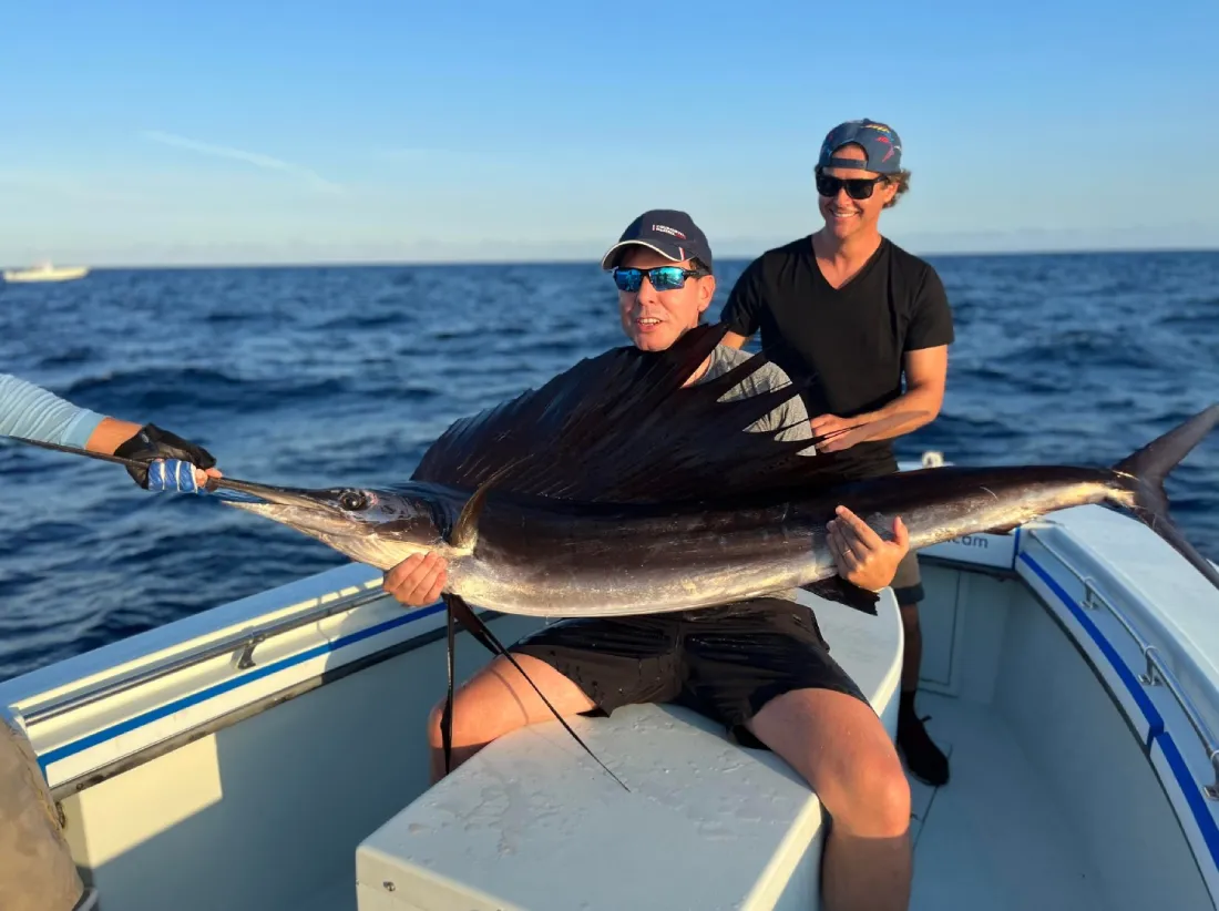Live Bait & Kite Fishing Charters in Miami
