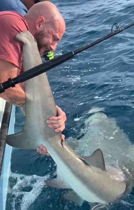 Shark Fishing Charters in Miami