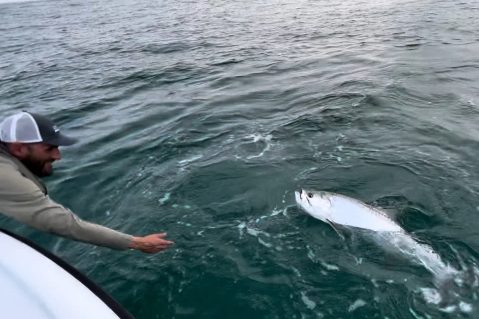 Tarpon Fishing Charters in Miami