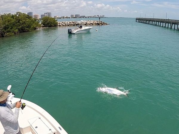 Best Saltwater Fishing Spots Near Hialeah