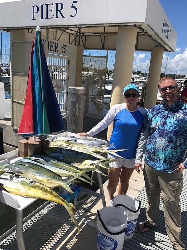 Mahi Mahi (Dolphin)