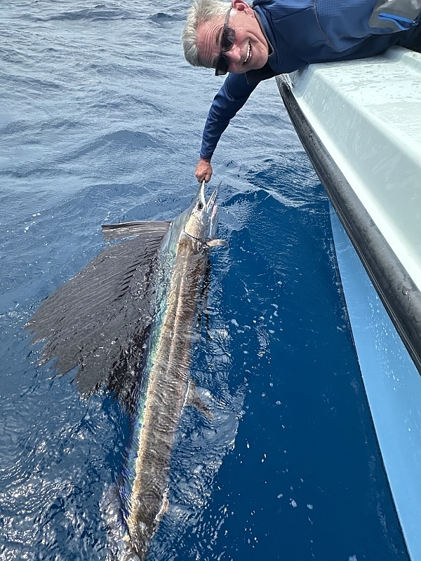 Sailfishing
